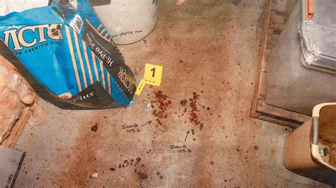 pictures of the murdaugh crime scene|Murdaugh Murders: Crime Scene Photos Shown in Court